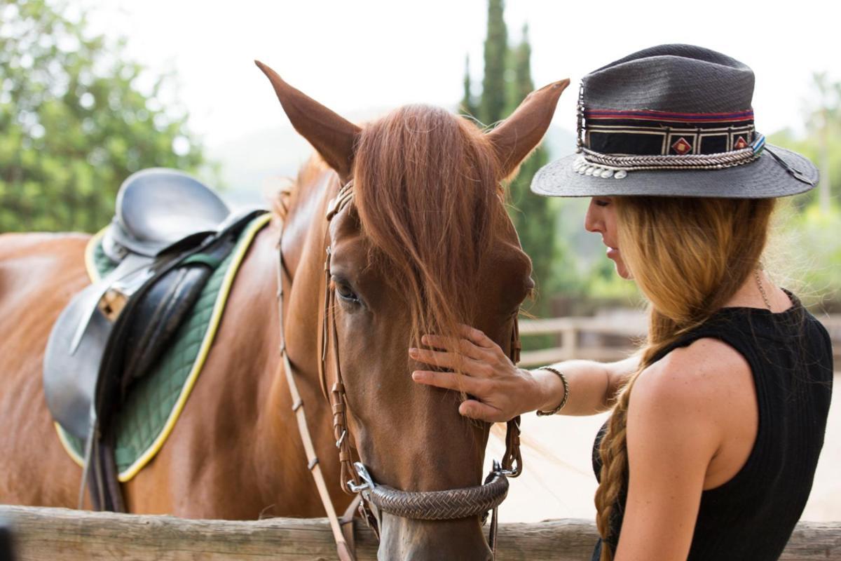 Hotel Rural & Spa Can Curreu サンタ・エウラリア・デス・リウ エクステリア 写真